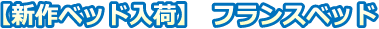 新作ベッド入荷　フランスベッド